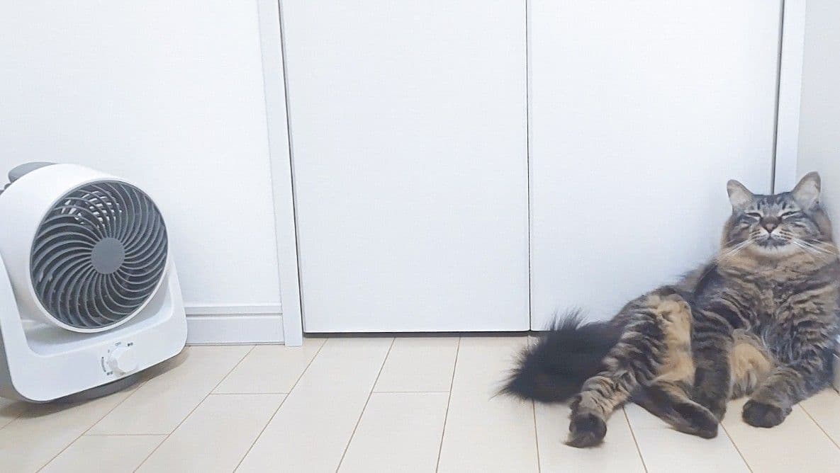 ◯◯◯○◯◯◯◯を扇風機代わりにする